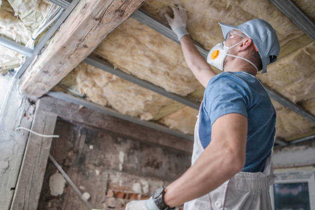 Types of Insulation We Offer in Sterling, CO